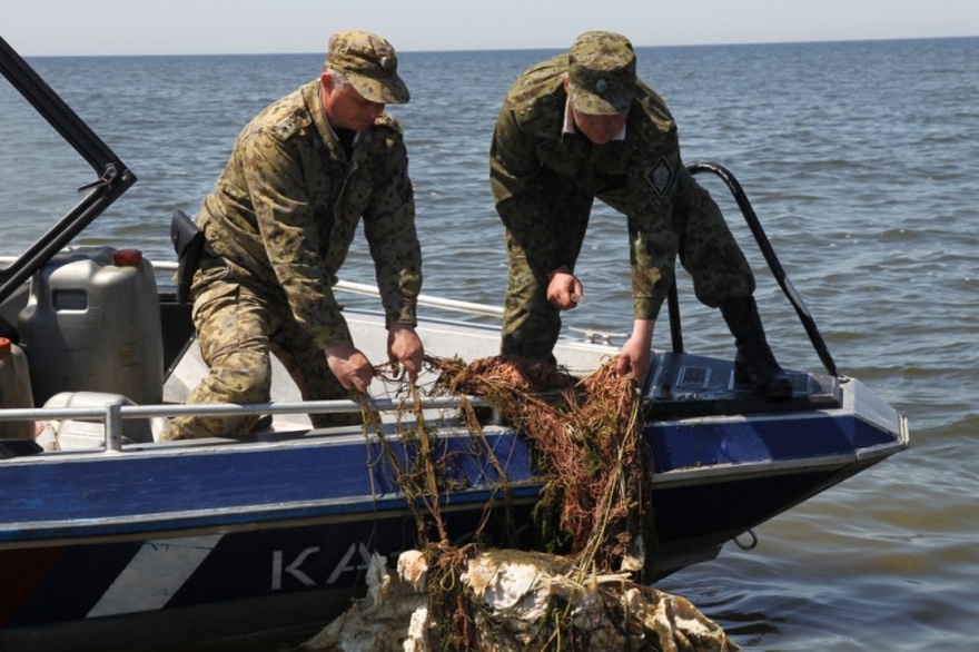 Борьба с браконьерами продолжается