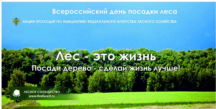 Присоединяйтесь к участию во Всероссийском Дне посадки леса