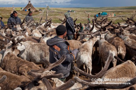 Обсудили проблемы сельхозпроизводителей